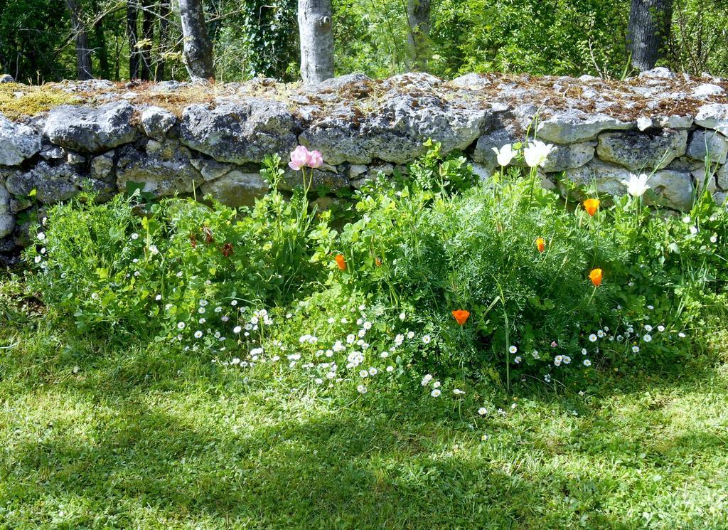 Le Colombier Bed & Breakfast Villeneuve-sur-Lot Exterior photo