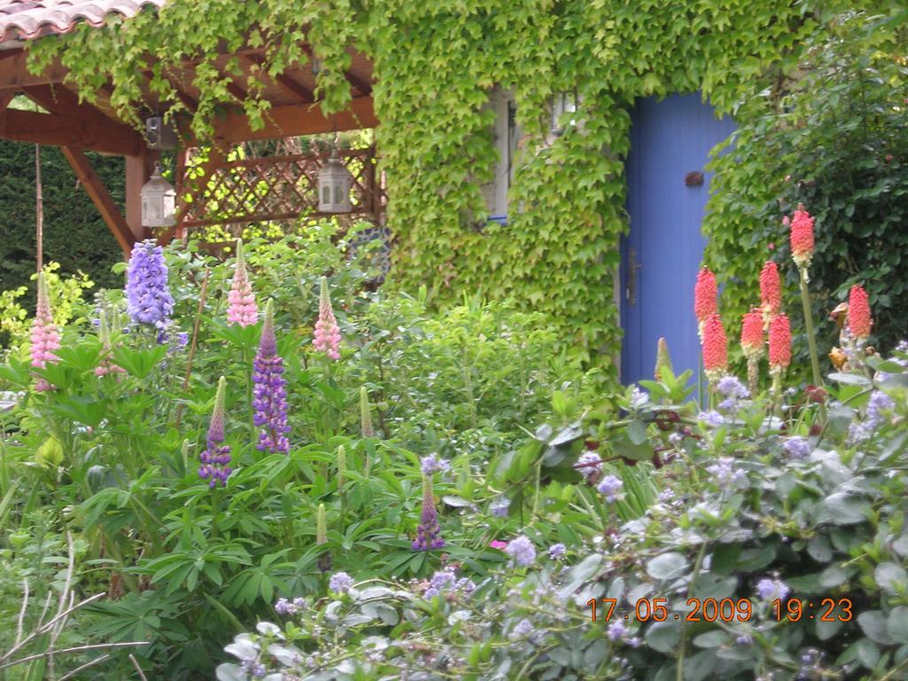 Le Colombier Bed & Breakfast Villeneuve-sur-Lot Exterior photo
